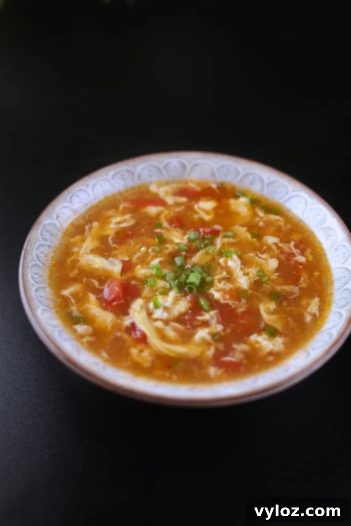 Effortless Tomato Egg Drop Soup 2 Tomato egg drop soup served in a bowl, garnished with green onions.