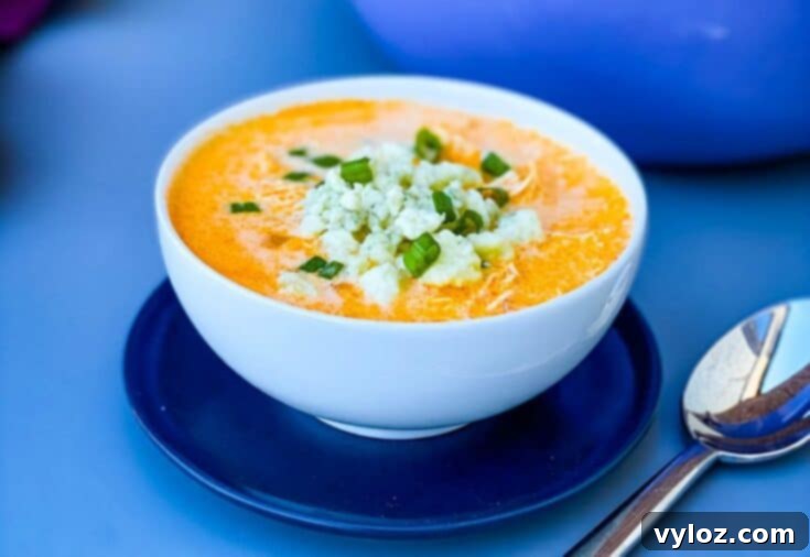 20 Fast & Flavorful Keto Chicken Recipes 14 Easy Creamy Buffalo Chicken Soup