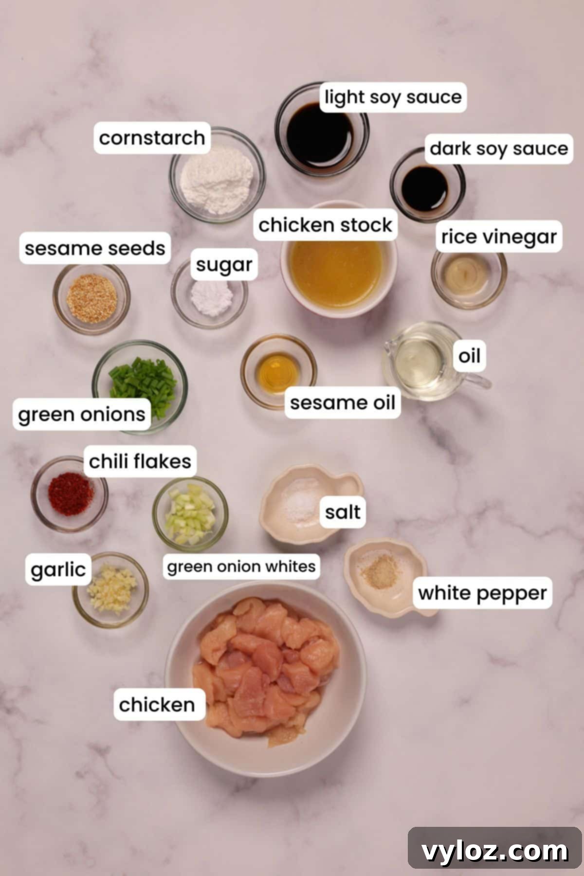 Ingredients for making Chinese garlic chicken on a white background.