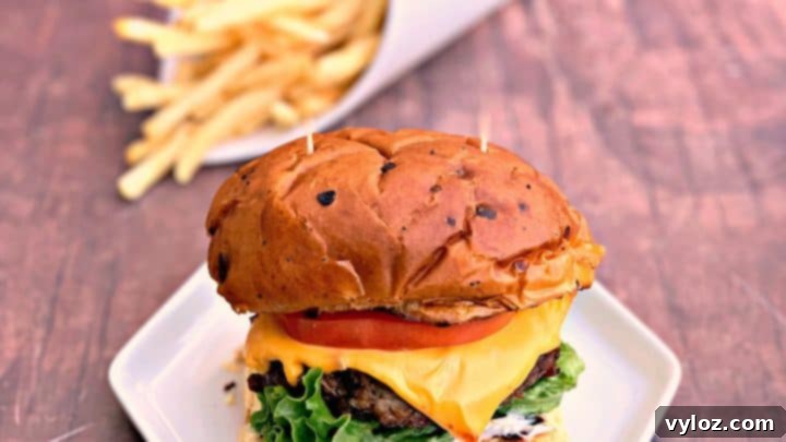 Juicy cheeseburgers cooked to perfection in an air fryer, a quick and easy beef recipe for the whole family.