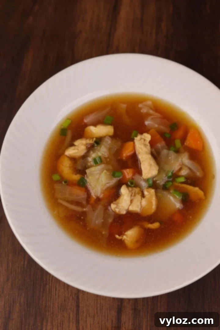 Zippy Asian Chicken Cabbage Soup 2 A comforting bowl of Asian style chicken and cabbage soup, garnished with fresh herbs and a hint of spice.