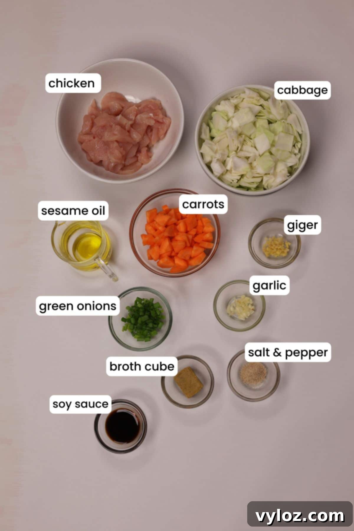 Zippy Asian Chicken Cabbage Soup 3 Fresh ingredients for Asian chicken cabbage soup arranged on a clean white background, including chicken breast, green cabbage, carrots, ginger, garlic, and green onions.