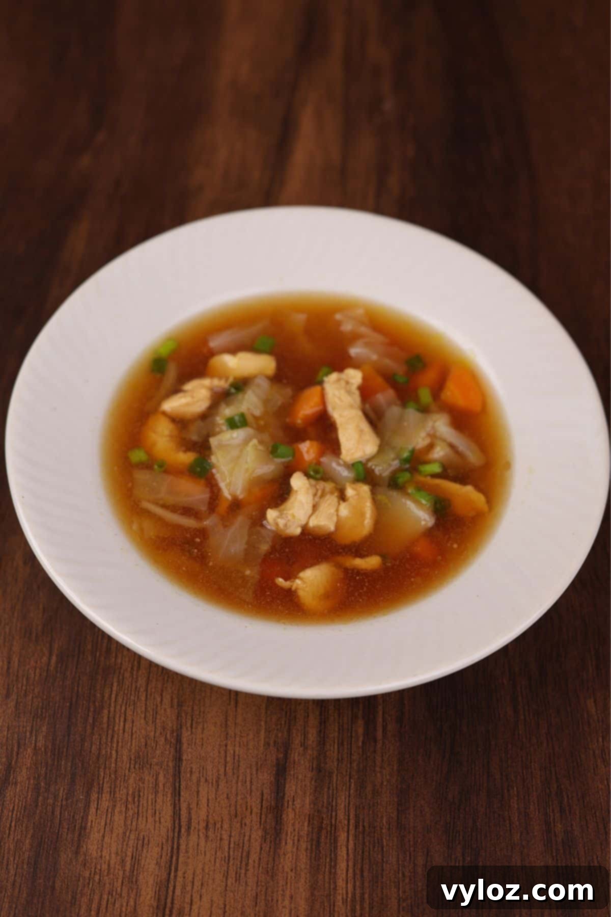 Zippy Asian Chicken Cabbage Soup 6 A beautifully presented bowl of Asian chicken cabbage soup, ready to be enjoyed as a light and healthy meal.