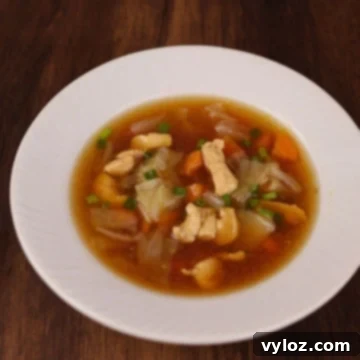 Zippy Asian Chicken Cabbage Soup 7 Quick Asian style chicken cabbage soup in a bowl.