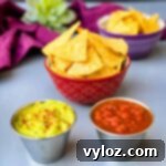 air fryer tortilla chips in a red bowl with guacamole and salsa