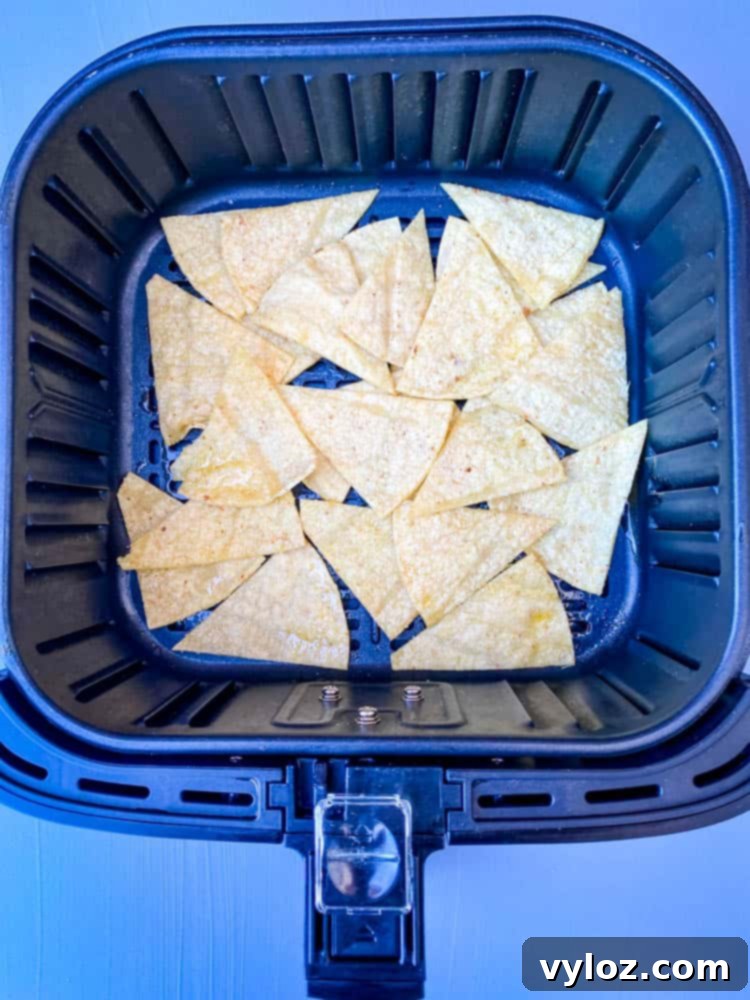 uncooked tortilla chips in air fryer