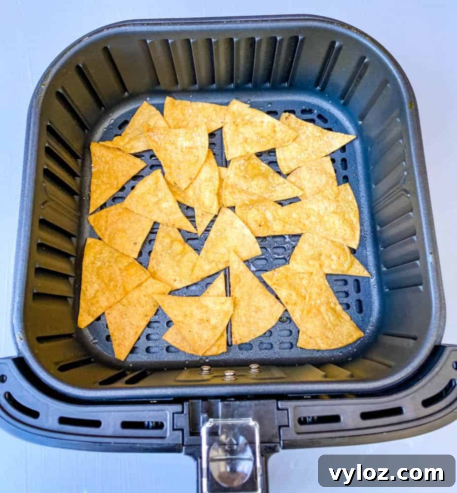 tortilla chips in air fryer