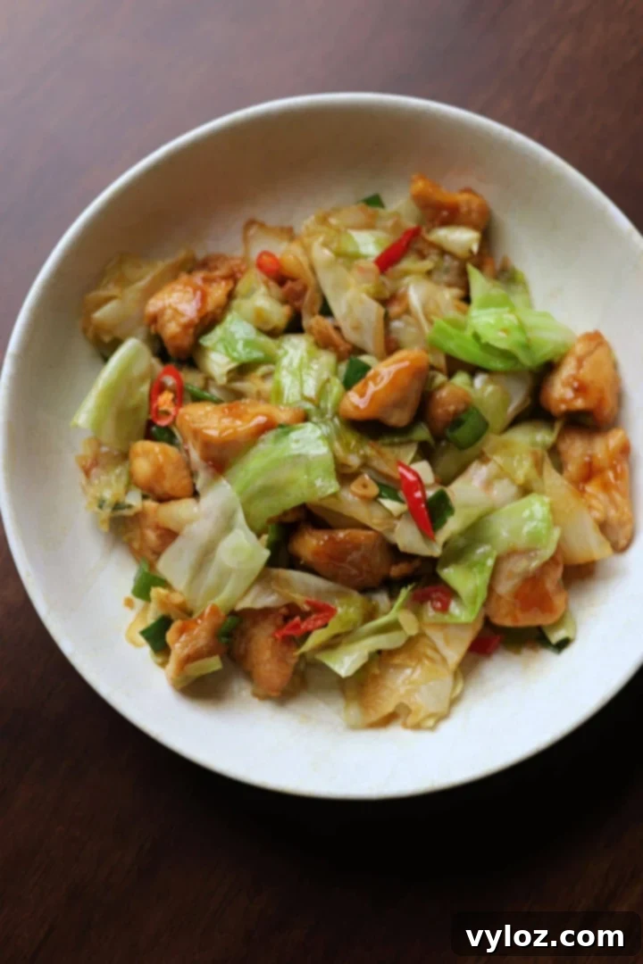 Chicken and cabbage stir fry served in a white bowl, garnished with green onions.