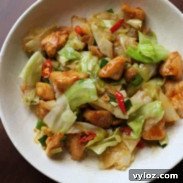 Close-up of chicken and cabbage in a delicious stir fry, ready to eat.