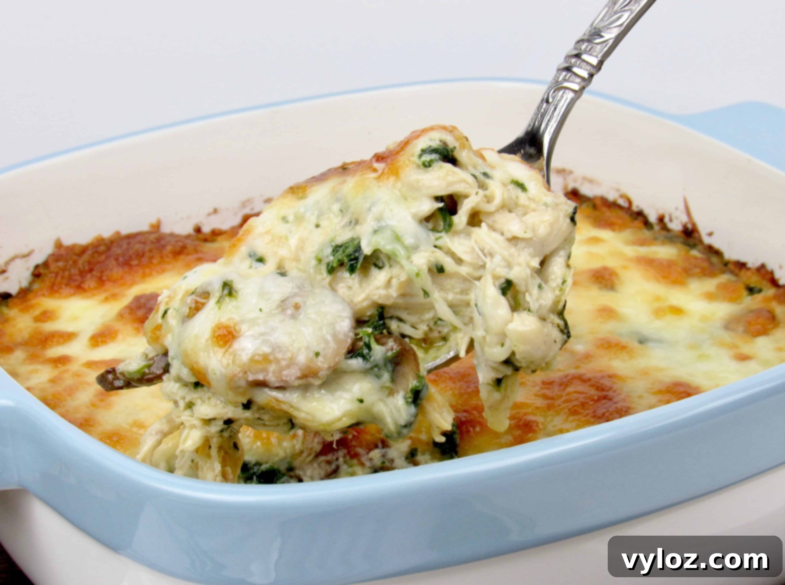 Creamy Chicken Alfredo Casserole with mushrooms and spinach
