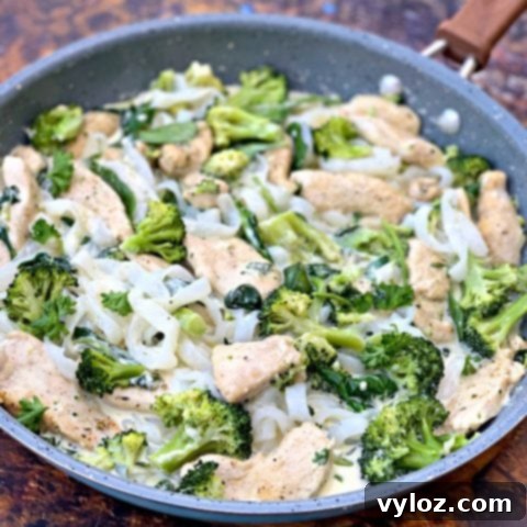 Keto Low-Carb Fettuccine Chicken Alfredo with Shirataki noodles