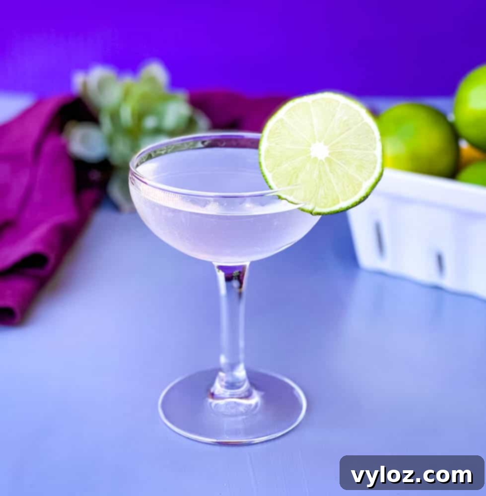 vodka gimlet cocktail in a glass garnished with a fresh lime