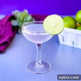 vodka gimlet cocktail in a glass garnished with a fresh lime