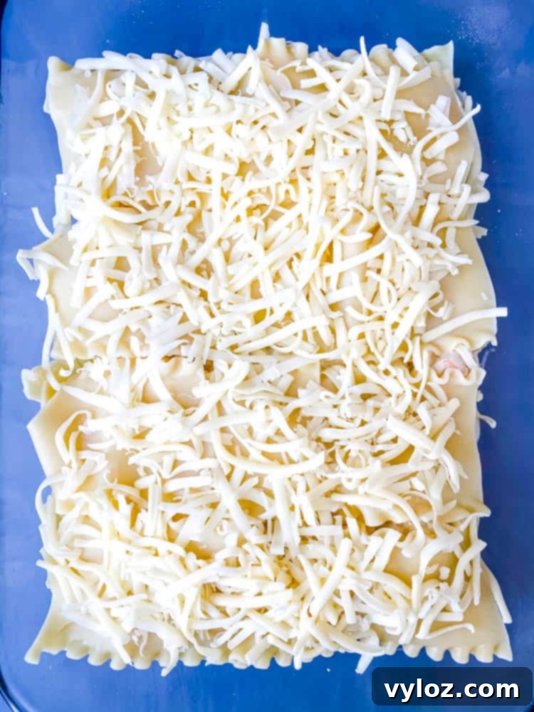 Velvety Seafood Lasagna 12 A freshly baked seafood lasagna, generously topped with shredded cheese, straight out of the oven.