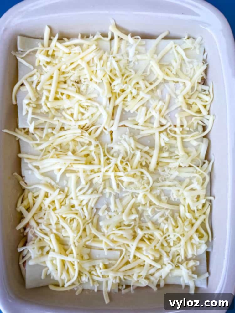 Velvety Seafood Lasagna 14 A low-carb seafood lasagna topped with melted shredded cheese, presenting a healthier alternative.