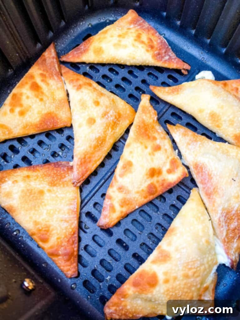 fried wontons in an air fryer