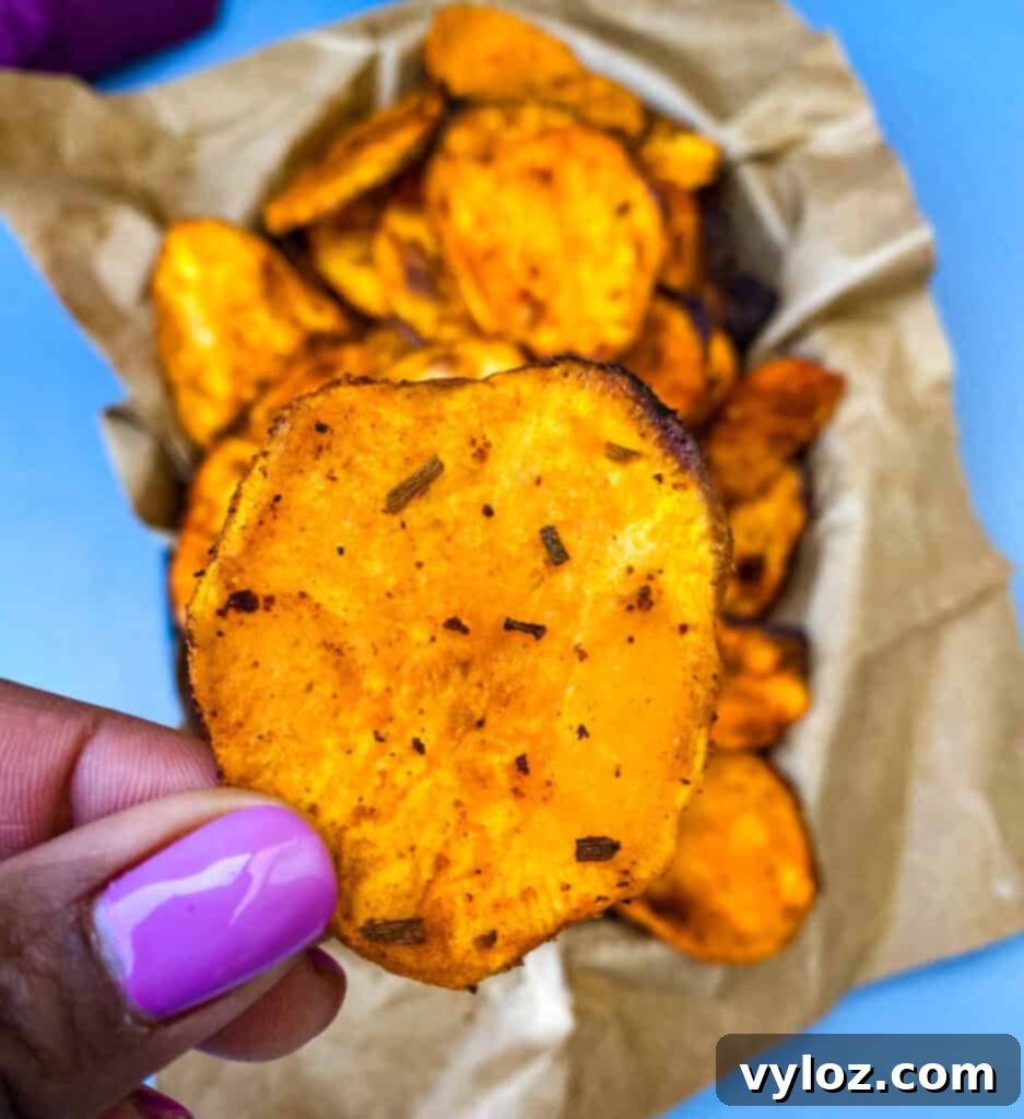 Crispy Air Fryer Sweet Potato Chips 11 A hand gently holding a single, perfectly cooked air fryer sweet potato chip, emphasizing its crisp, golden appearance