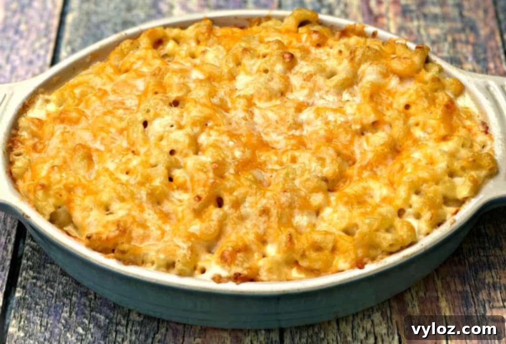 Soul-Satisfying Southern Baked Mac and Cheese 17 southern style baked macaroni and cheese