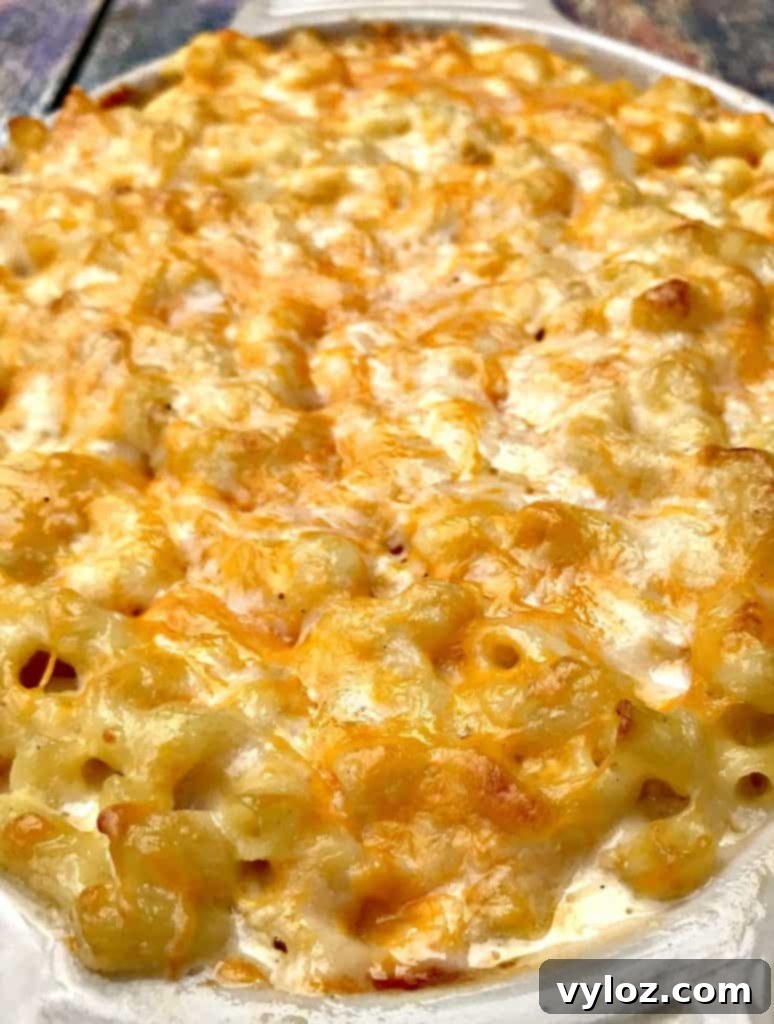 Soul-Satisfying Southern Baked Mac and Cheese 18 southern style baked macaroni and cheese