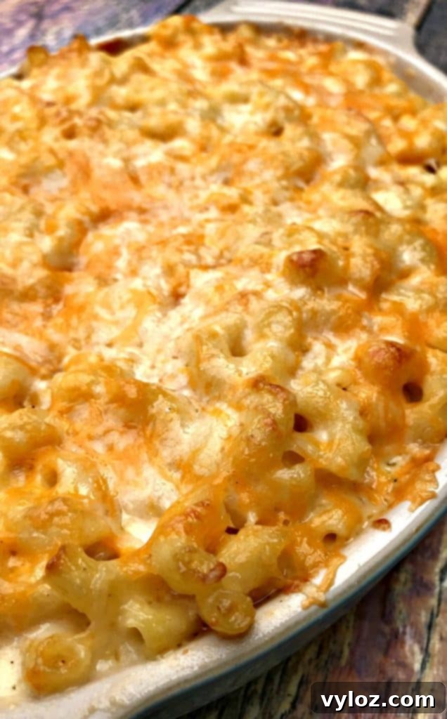 Soul-Satisfying Southern Baked Mac and Cheese 19 southern style baked macaroni and cheese
