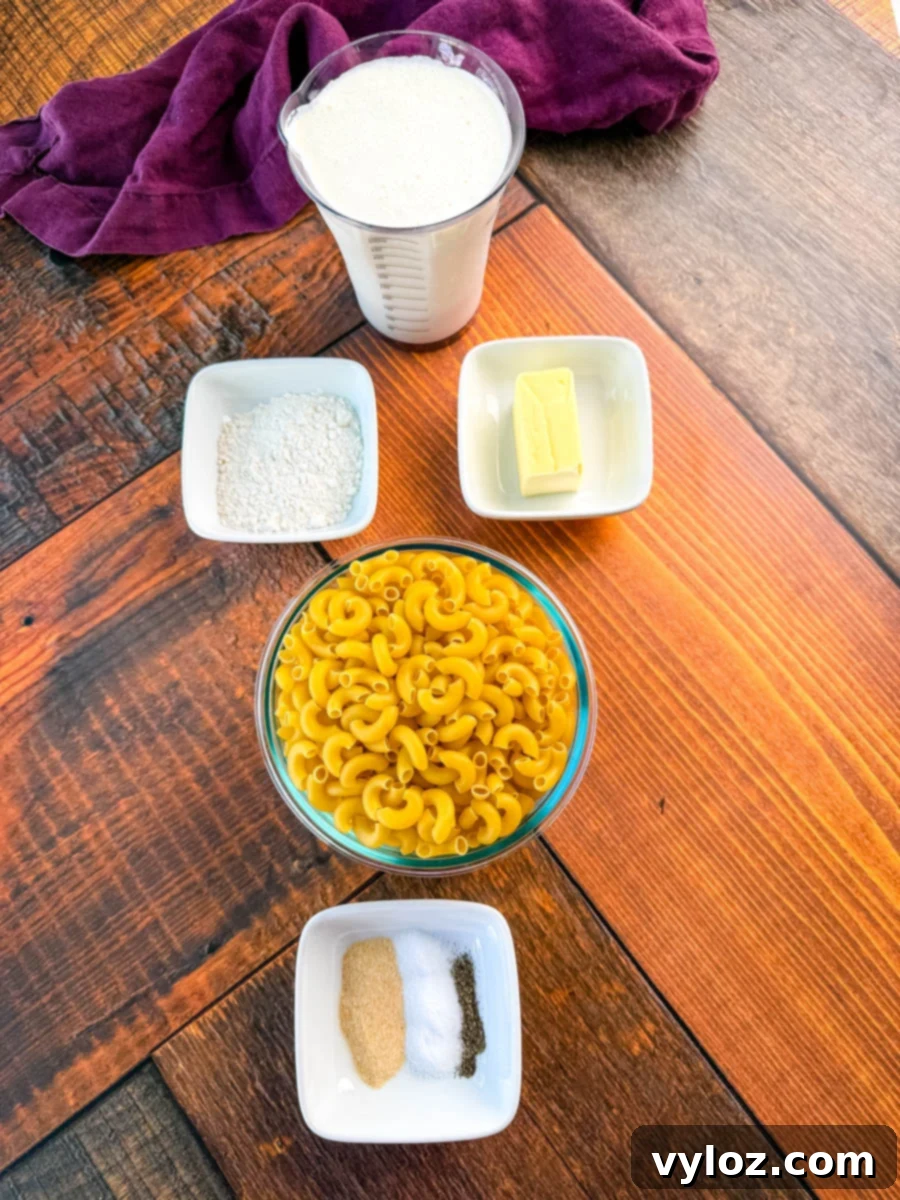 Soul-Satisfying Southern Baked Mac and Cheese 3 Overhead photo of mac and cheese ingredients on a wooden surface, including elbow macaroni, flour, butter, milk, and small bowls of garlic powder, salt, and pepper.