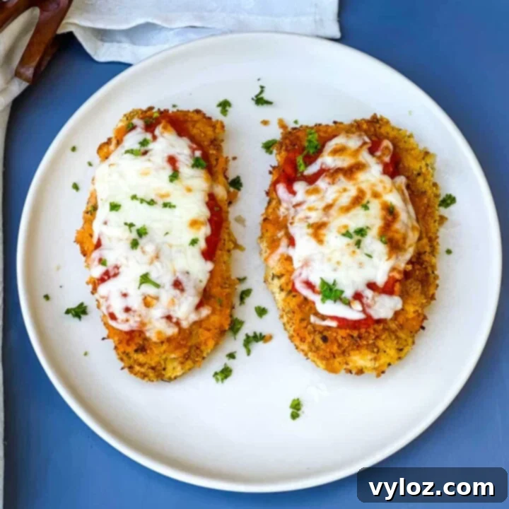 Ultimate Air Fryer Chicken Guide 13 img 21671 12