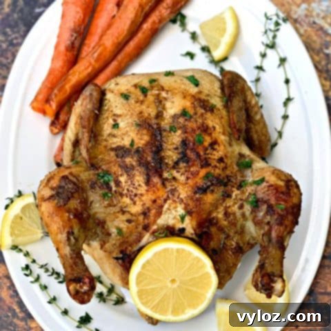 Ultimate Air Fryer Chicken Guide 17 img 21671 16