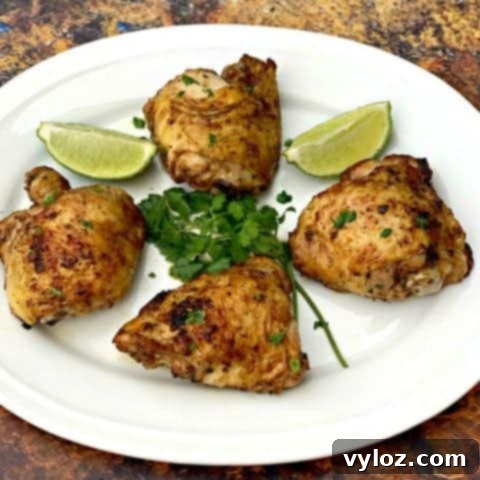 Ultimate Air Fryer Chicken Guide 18 img 21671 17