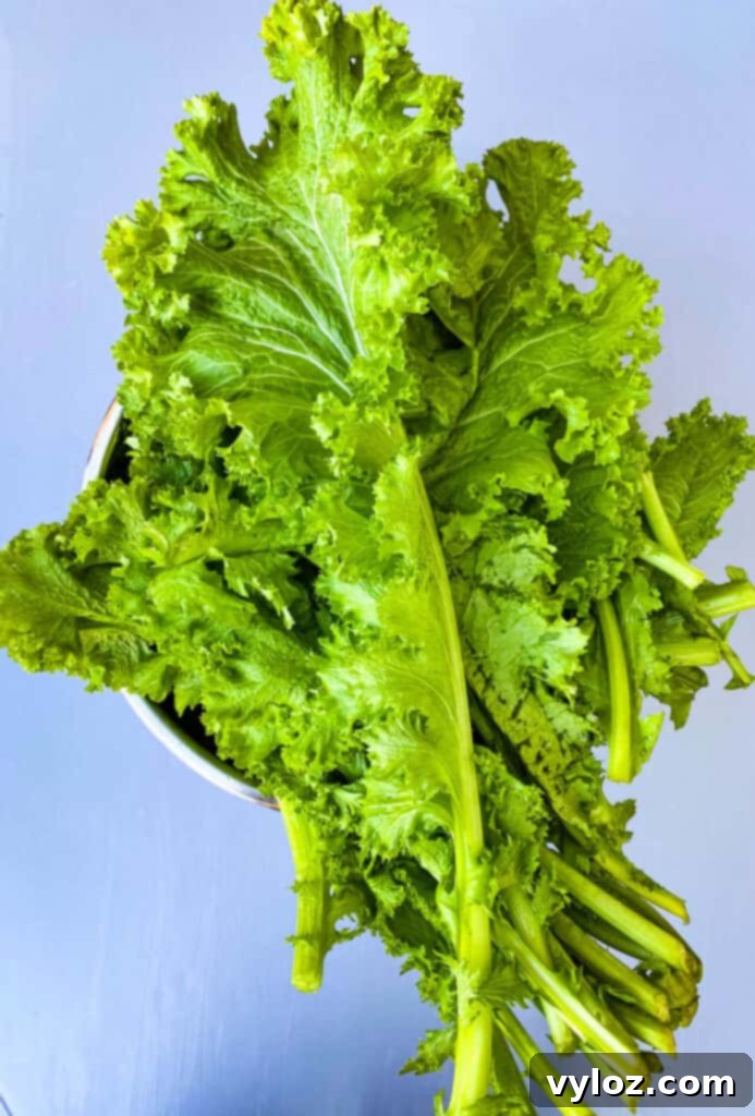 Fresh, raw mustard greens displayed on a flat surface, vibrant and ready for preparation.
