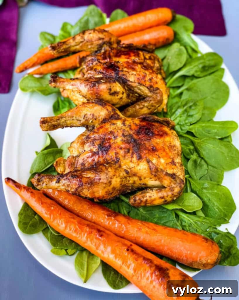 Succulent Air Fryer Cornish Hens 9 A close-up shot of an air-fried Cornish hen, showcasing its crispy golden skin, juicy texture, and succulent appearance.