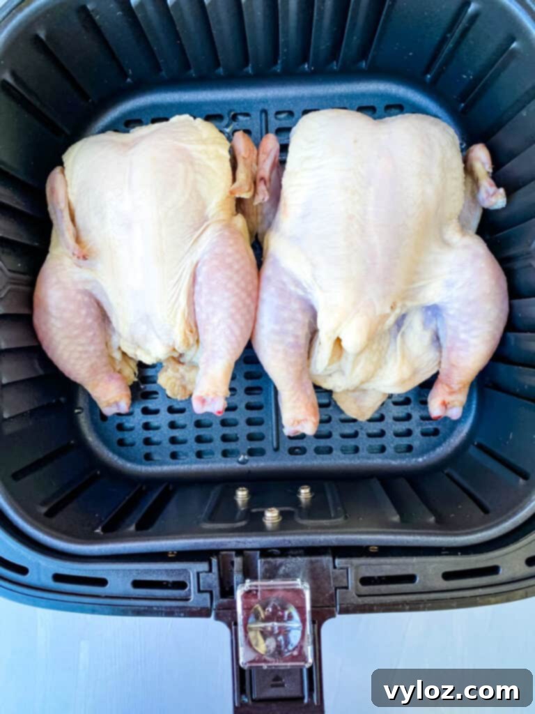 Succulent Air Fryer Cornish Hens 4 Raw Cornish hen seasoned and ready for air frying, showcasing its small size and prepared state.