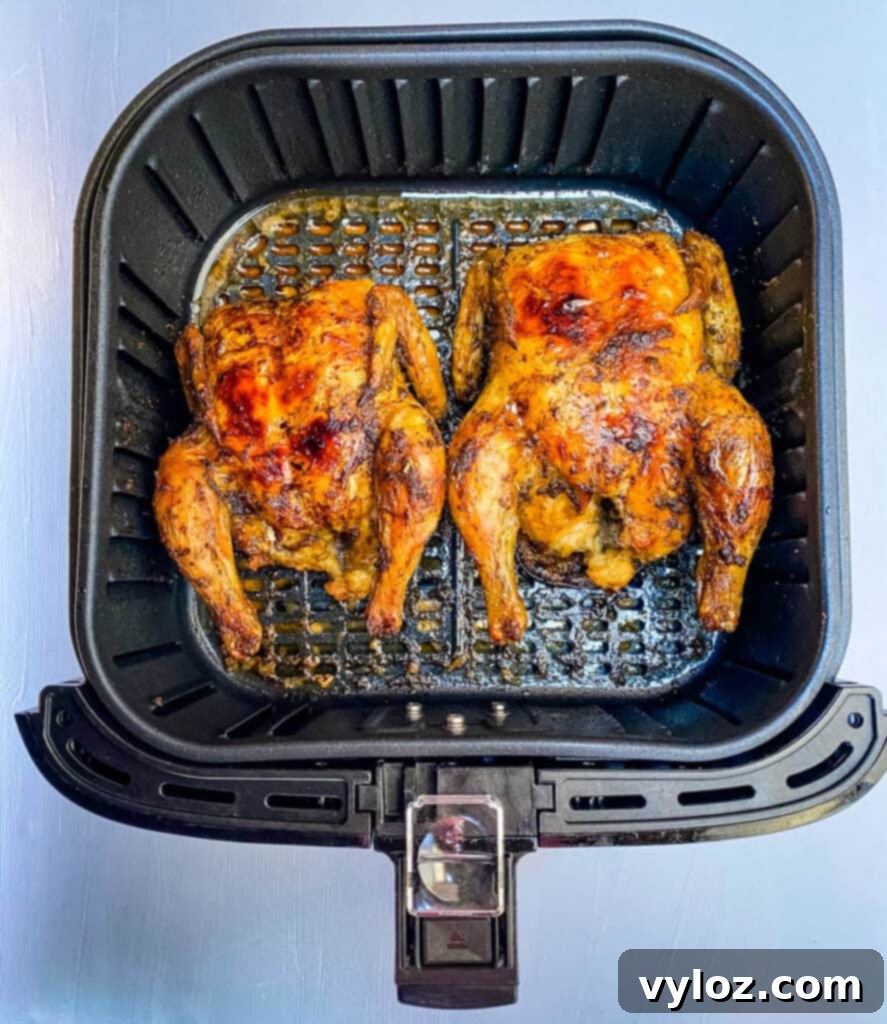 Succulent Air Fryer Cornish Hens 6 Close-up of a perfectly air-fried Cornish hen with golden, crispy skin and succulent juices, ready to be served.