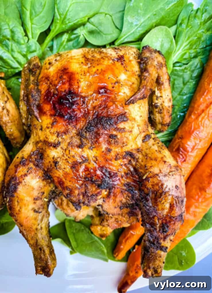 Succulent Air Fryer Cornish Hens 7 Plated air fryer Cornish hen served with fresh spinach and carrots, highlighting a complete, healthy, and delicious meal.