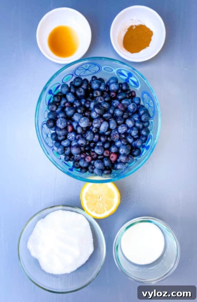 fresh blueberries, lemon, cornstarch, vanilla, sweetener, and cinnamon in separate bowls