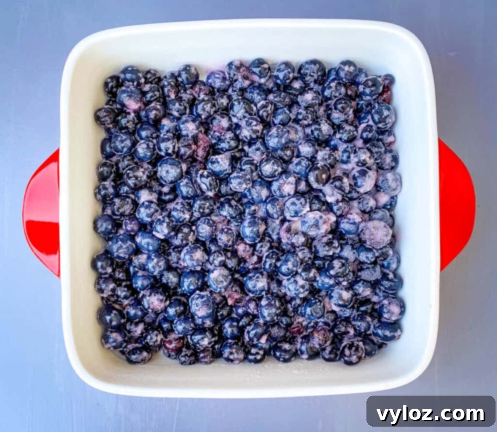blueberry crisp filling in a red baking dish