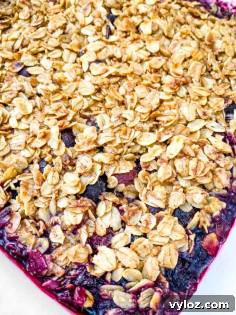 healthy blueberry crisp in a red baking dish