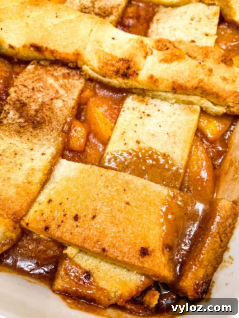 Baked healthy Southern peach cobbler in a red baking dish, glistening and ready to serve