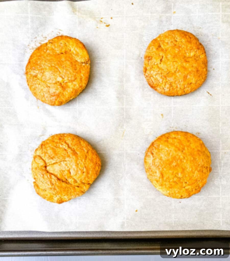 Deliciously Easy Sweet Potato Biscuits 11 Baked sweet potato biscuits displaying a beautiful golden-brown crust on a sheet pan.