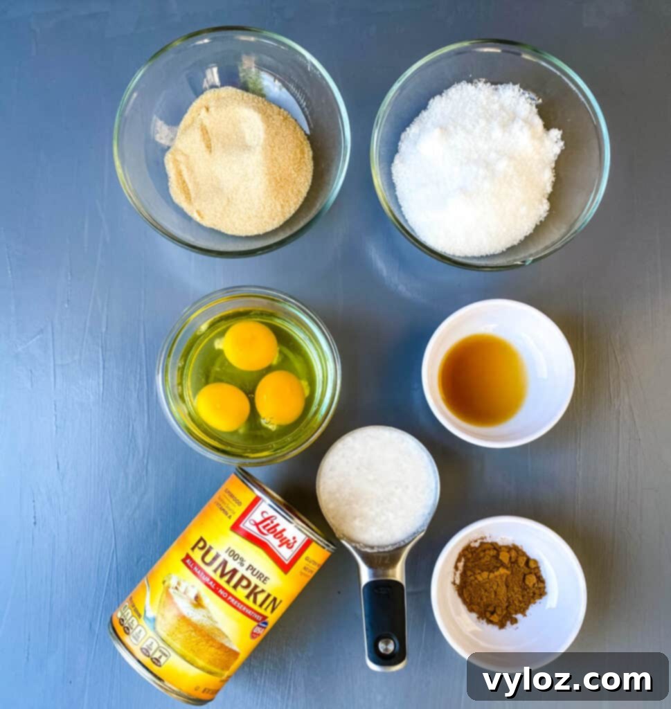 A curated display of sugar-free pumpkin crisp ingredients: granular monkfruit sweetener, fresh raw eggs, pure vanilla extract, a can of pure pumpkin puree, a blend of pumpkin pie spice, and creamy coconut milk, arranged in separate bowls on a rustic flat surface.