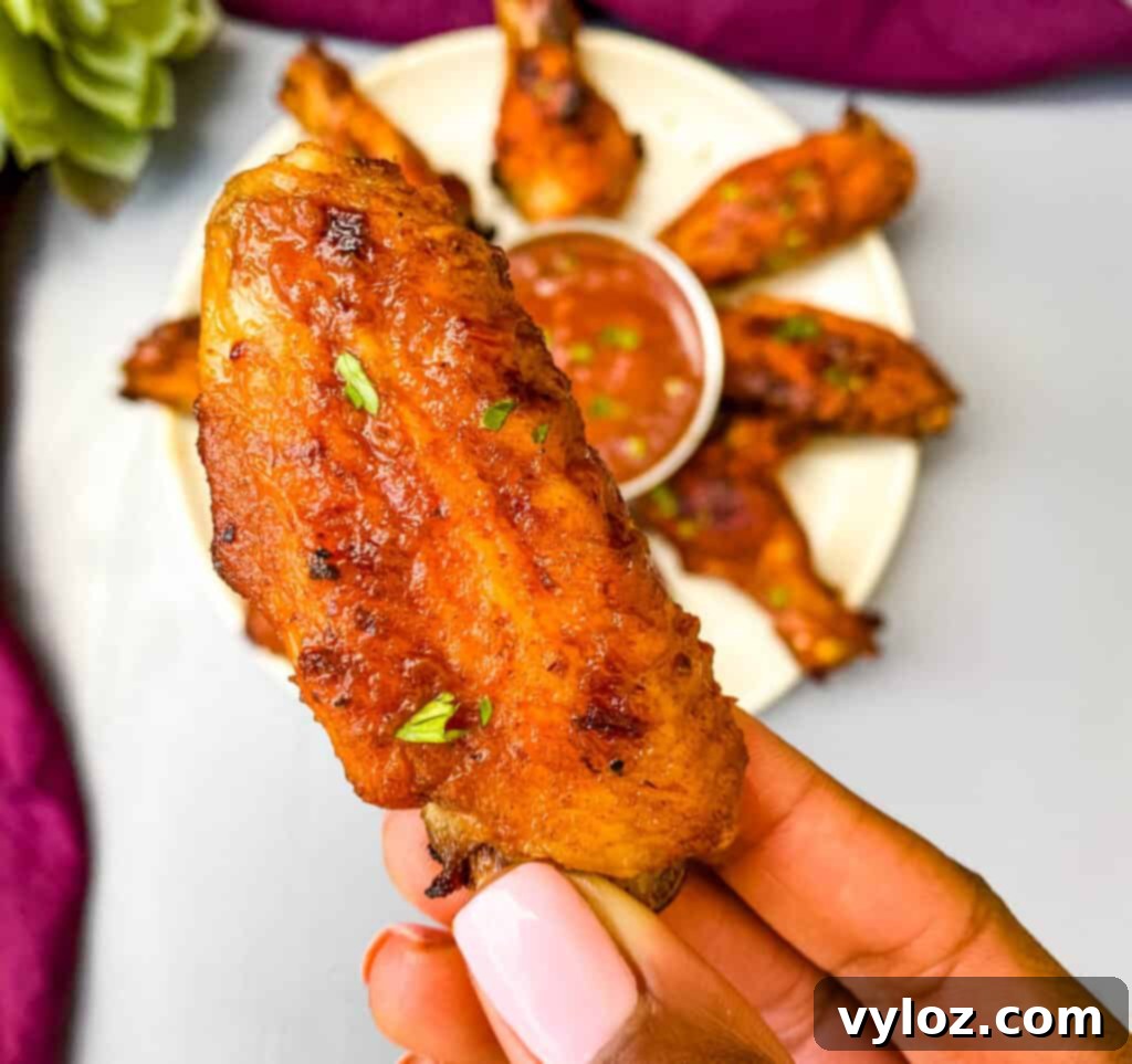 person holding air fryer bbq chicken wing