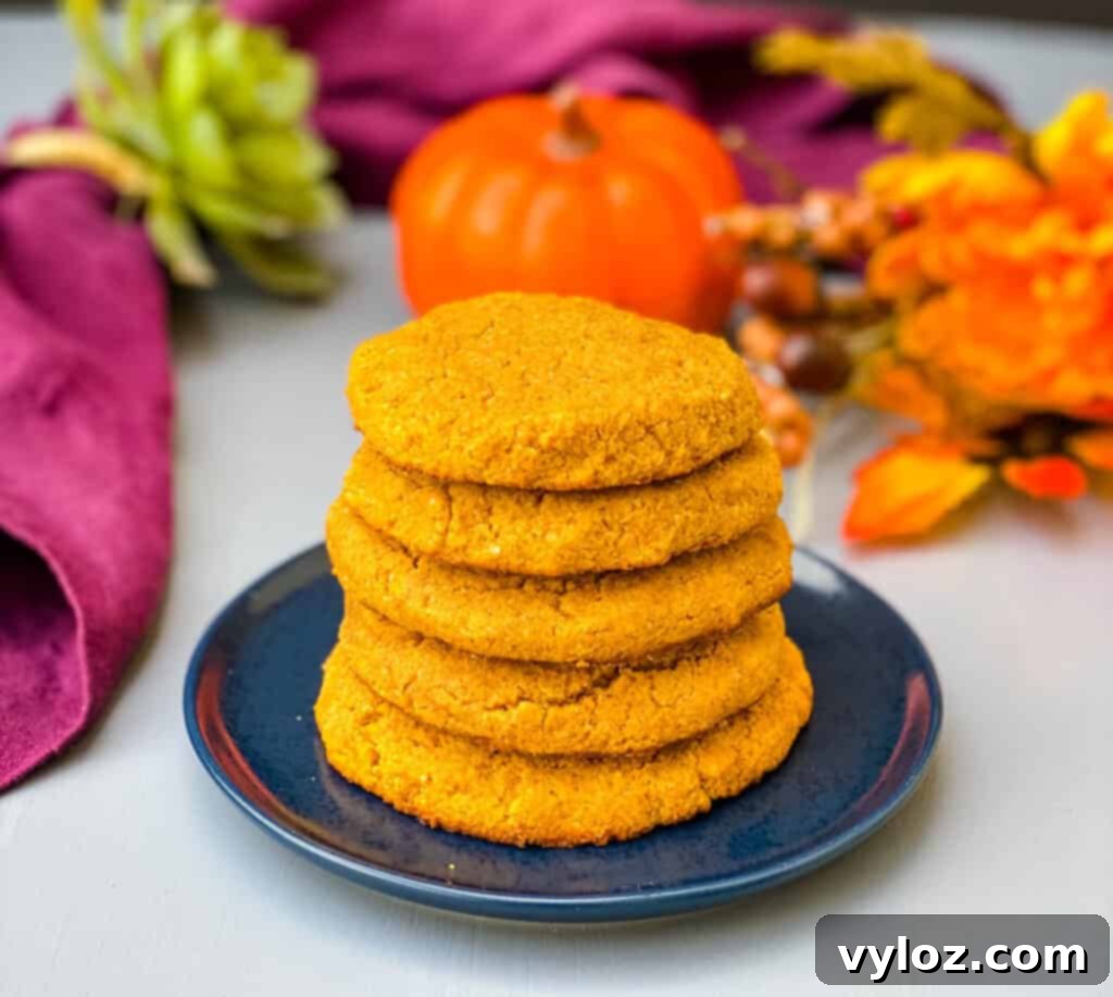 Guilt-Free Pumpkin Spice Cookies 10 keto pumpkin cookies stacked on a blue plate