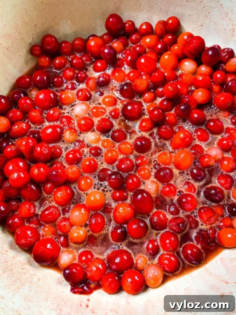 cranberries in a pot with cinnamon, honey, and sweetener