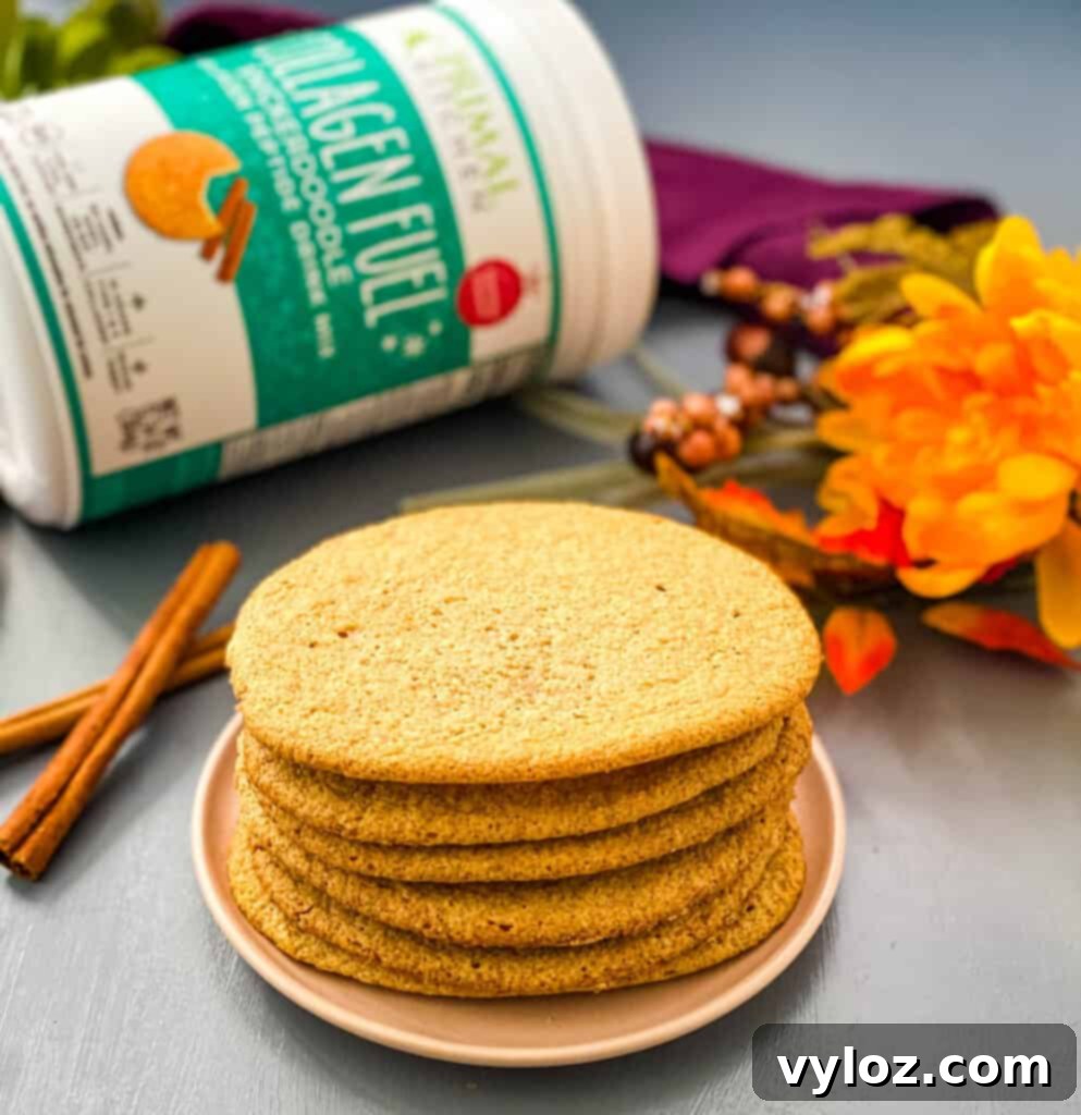 Sugar-Free Collagen Snickerdoodle Cookies 2 Keto Snickerdoodle Collagen Cookies artfully arranged on a pristine white plate, showcasing their soft texture and golden-brown edges