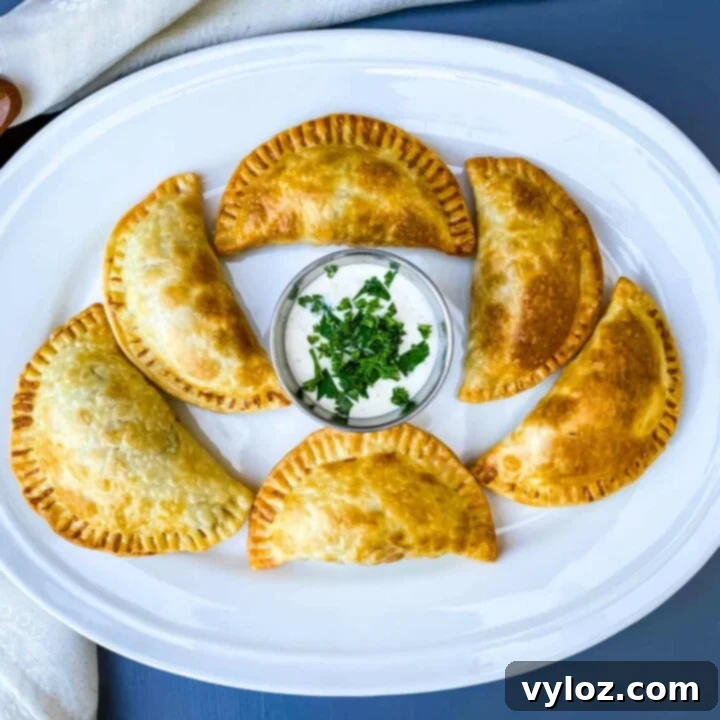 30 Quick and Delicious Air Fryer Appetizers 21 Savory beef empanadas with melted cheese, seasoned with taco spices.