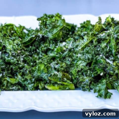 30 Quick and Delicious Air Fryer Appetizers 25 Crispy air fryer kale chips sprinkled with parmesan cheese.
