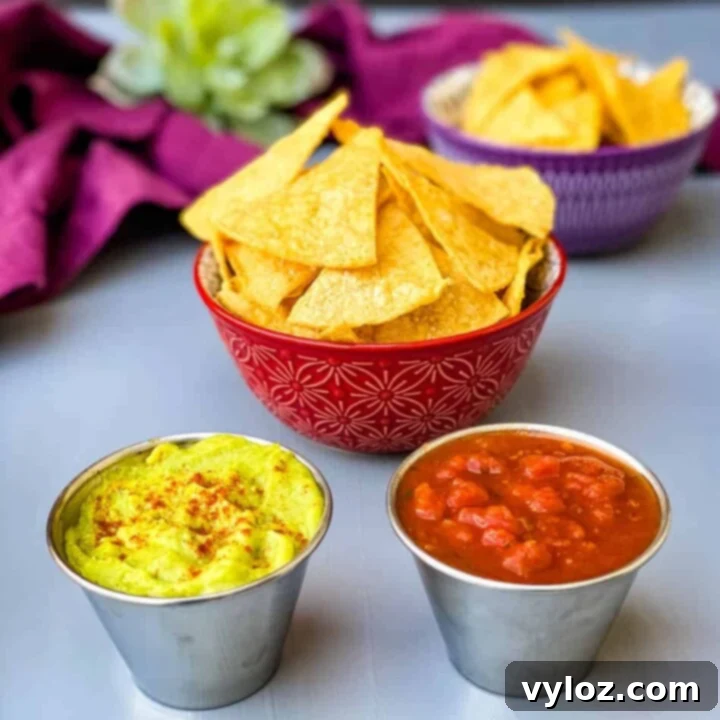 30 Quick and Delicious Air Fryer Appetizers 27 Freshly made air fryer tortilla chips, perfectly crisp.