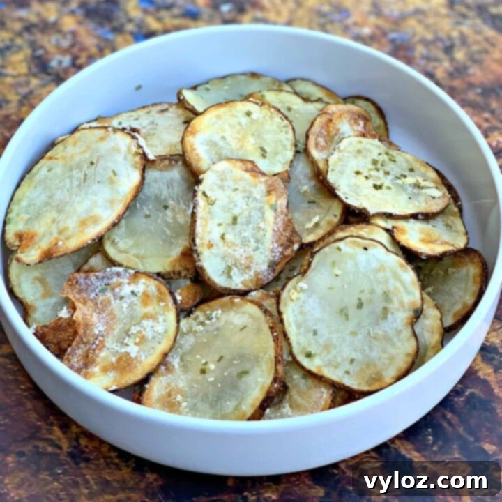 30 Quick and Delicious Air Fryer Appetizers 29 Air fryer crunchy homemade sour cream and onion potato chips.