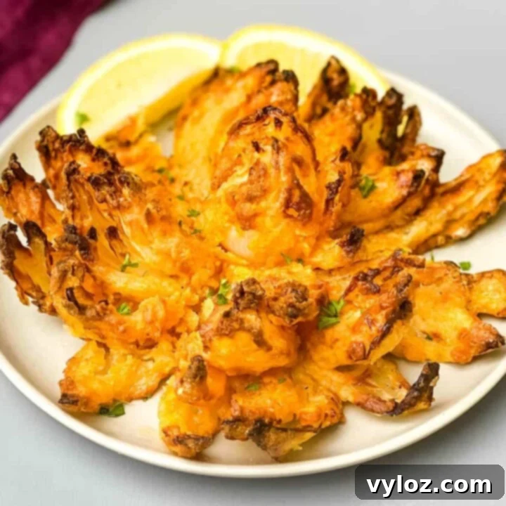 30 Quick and Delicious Air Fryer Appetizers 30 Air fryer blooming onion appetizer with a creamy dipping sauce.