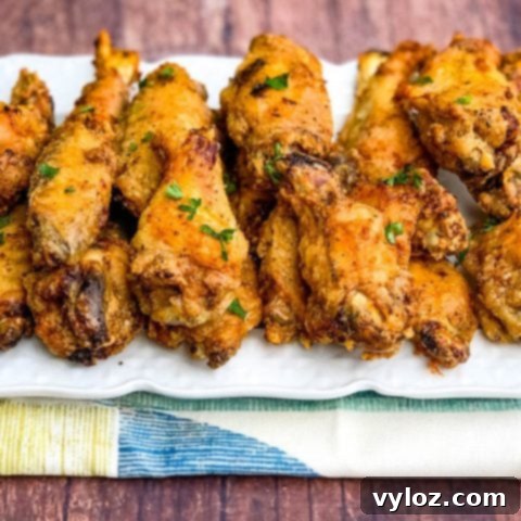 30 Quick and Delicious Air Fryer Appetizers 7 Crispy golden brown air fryer fried chicken wings seasoned with a dry rub.