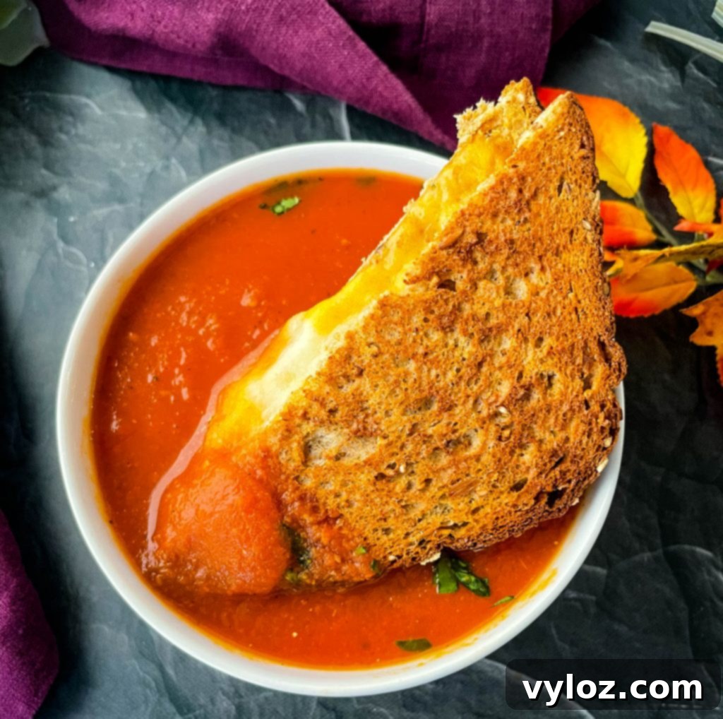 Grilled cheese sandwich being dipped into a bowl of tomato soup